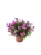 Img (6).webp