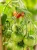 Img (19).webp