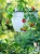 Img (222).webp