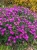 Img (112).webp