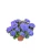 Img.webp