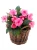 Img (10).webp