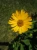 Img (20).webp