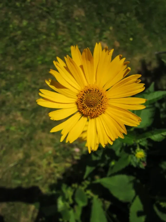 Img (20).webp