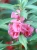 Img (21).webp