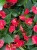 Img (22).webp