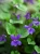 Img (23).webp